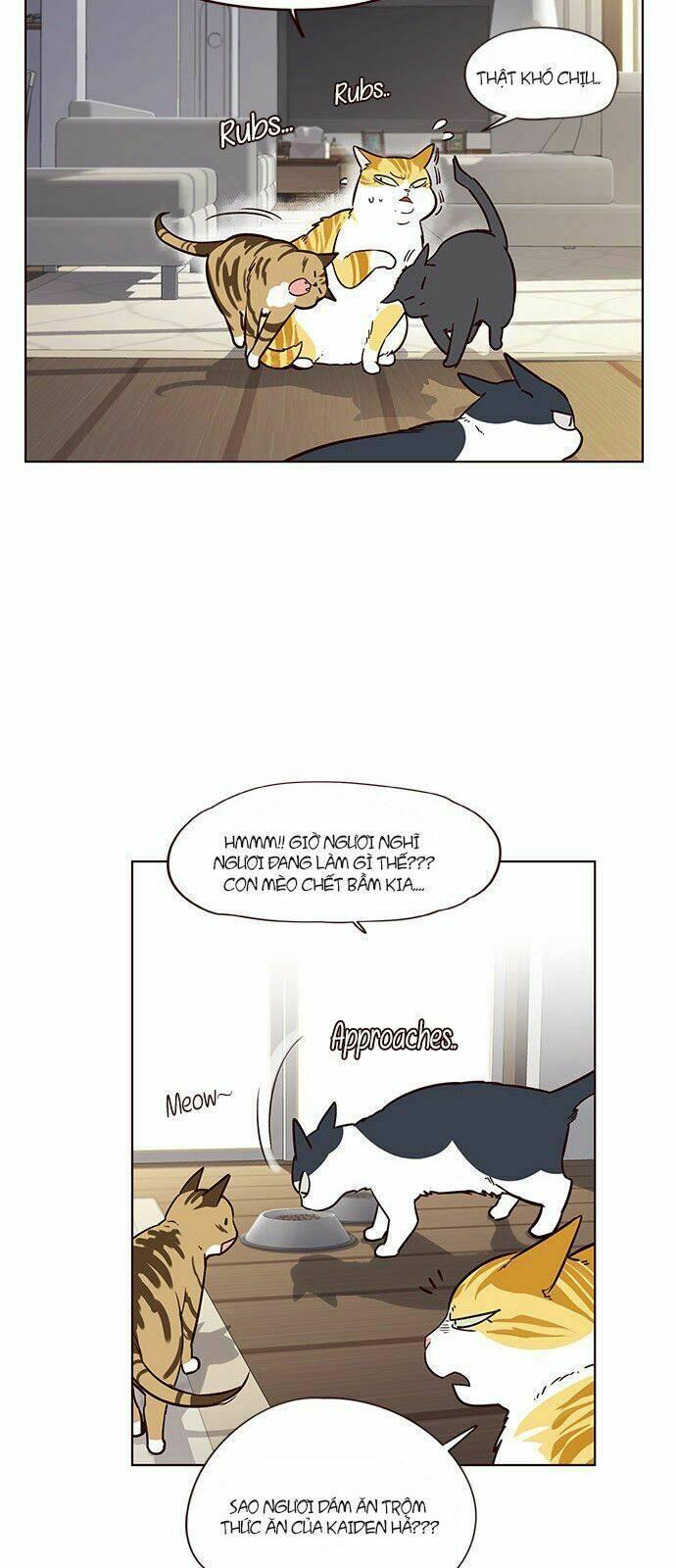 biến thân thành mèo chapter 6 33