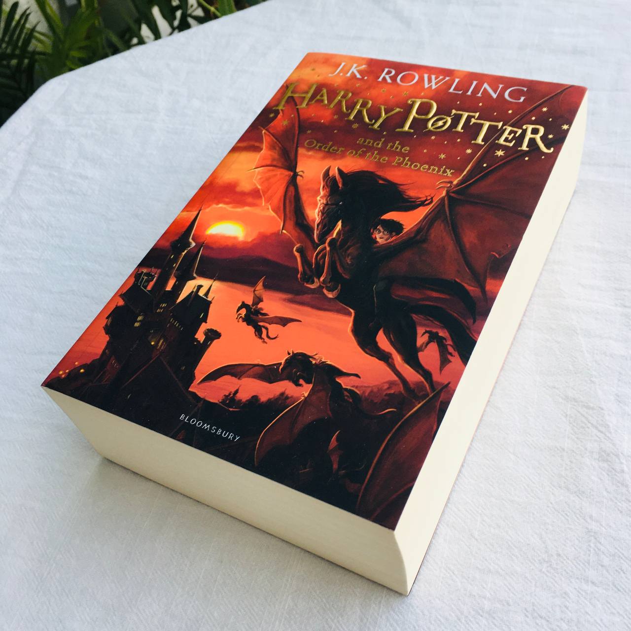 Harry Potter Part 5: Harry Potter And The Order Of The Phoenix