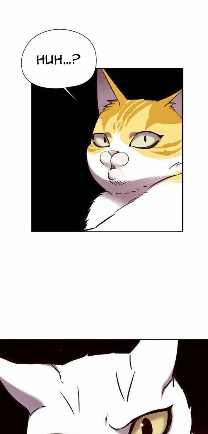 biến thân thành mèo chapter 141 61