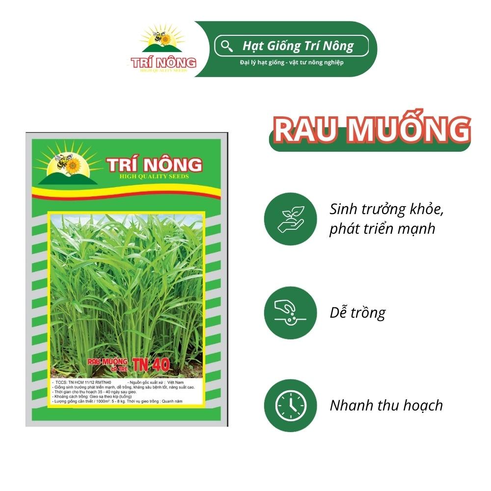 Hạt Giống Rau Muống Trí Nông , TN40, Dễ Trồng, Dễ Chăm Sóc, Thời Gian Thu Hoạch 35 ngày, Gói 50 gram