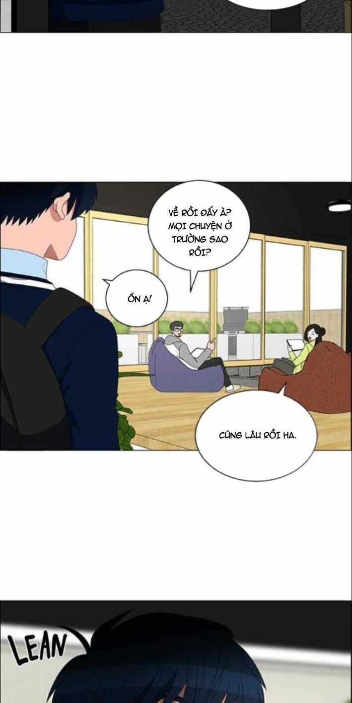 no scope chapter 115 3