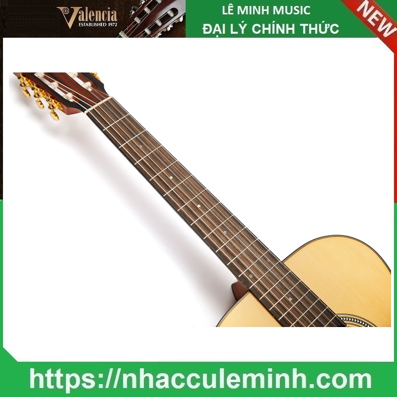 Đàn Guitar Acoustic Classic Valencia VA434