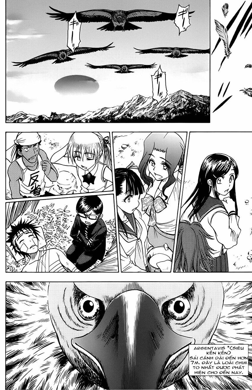 cage of eden chapter 47 21