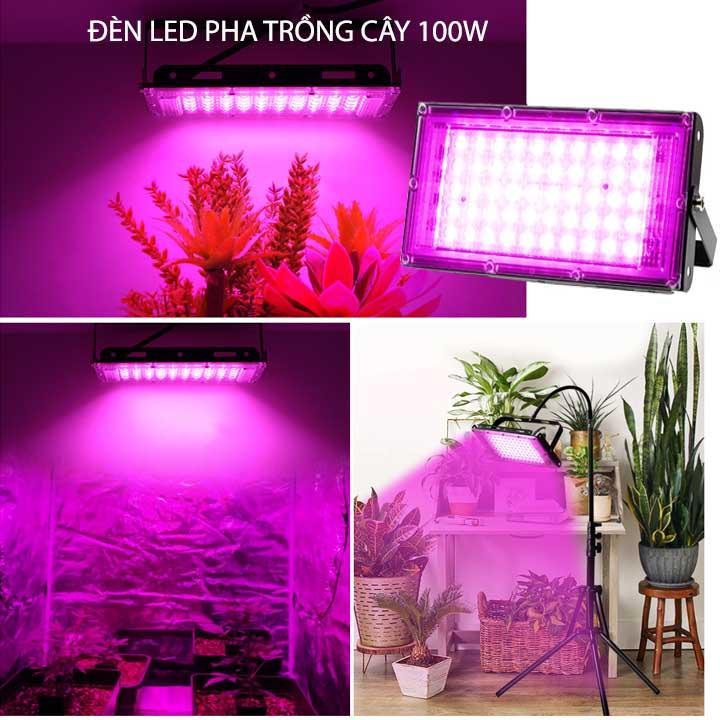 Đèn led pha trồng cây trong nhà 100W-220V tản nhiệt hợp kim