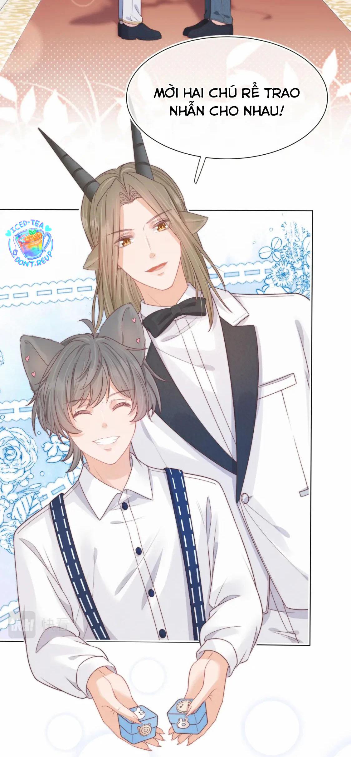 [ss2] một ngụm ăn cả thỏ con chapter 35 26