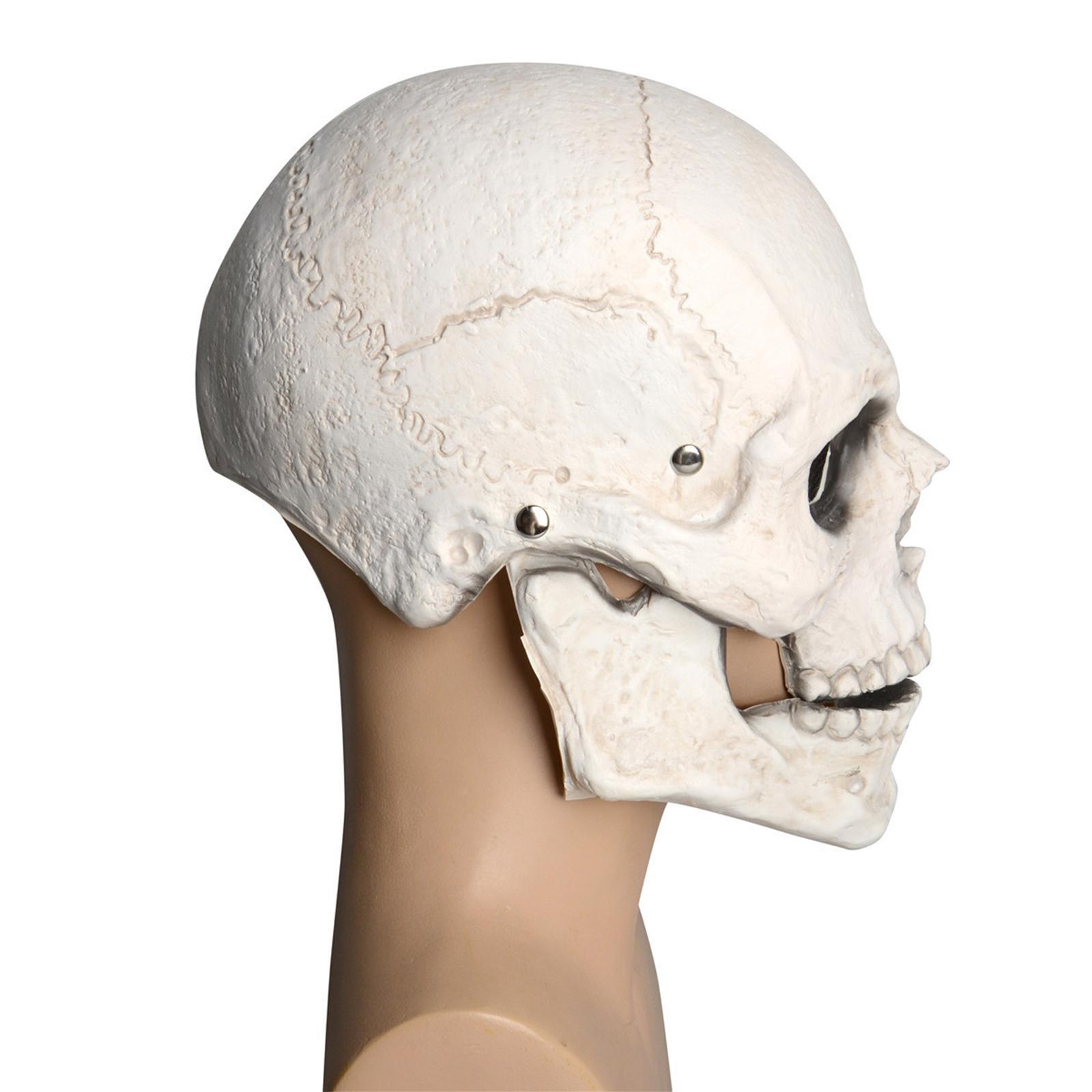 Head full face realistic masquerade horror White