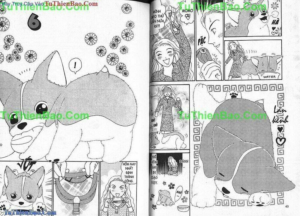 chó con mo mo chapter 2 21