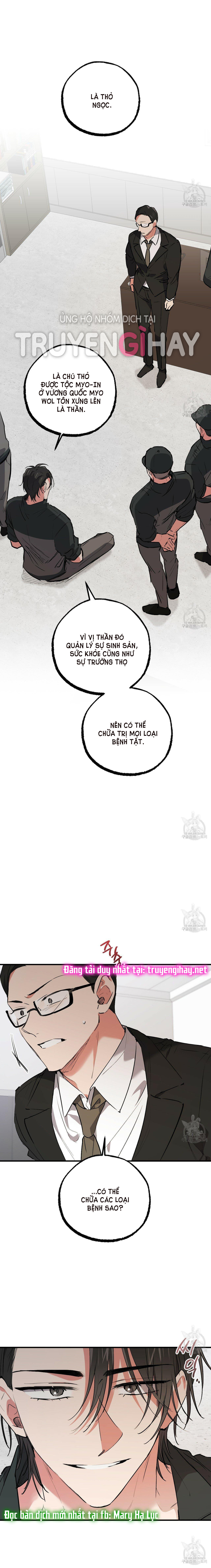 những chú thỏ của hapypy chapter 47 10