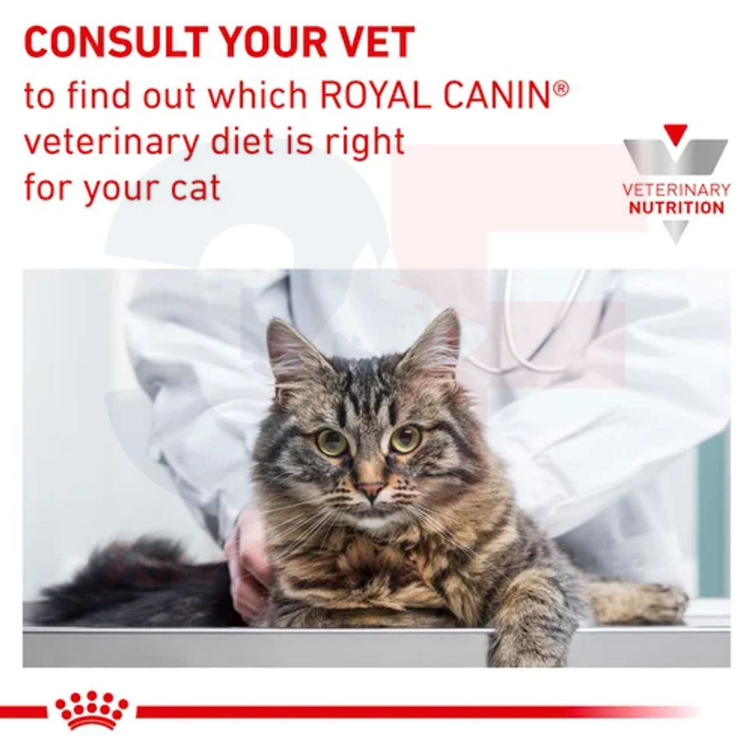 Thức Ăn Hạt Cho Mèo Bị Suy Thận Royal Canin Renal Feline