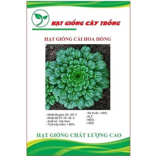 Hạt giống rau cải hoa hồng xanh - 1 gói 0.5gram
