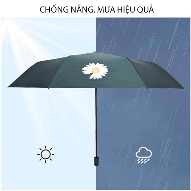 Ô Dù Tự Động Chống Tia UV Hàn Quốc Trang Trí Hoa Cúc - Hàng Nhập Khẩu