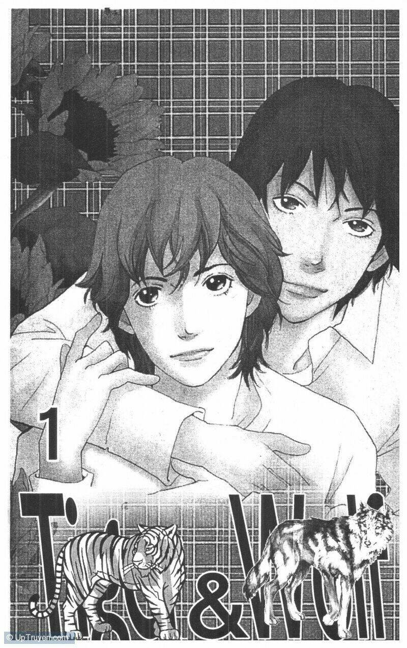 tigers and wolves chapter 1 5