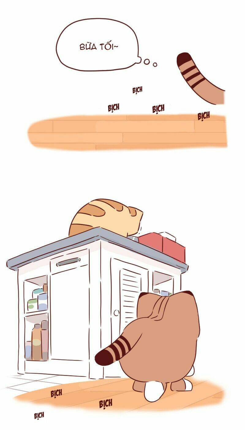 saphie: chú mèo một mắt chapter 29 3