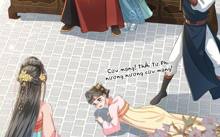 thái tử phi là người thế thân chapter 1 9