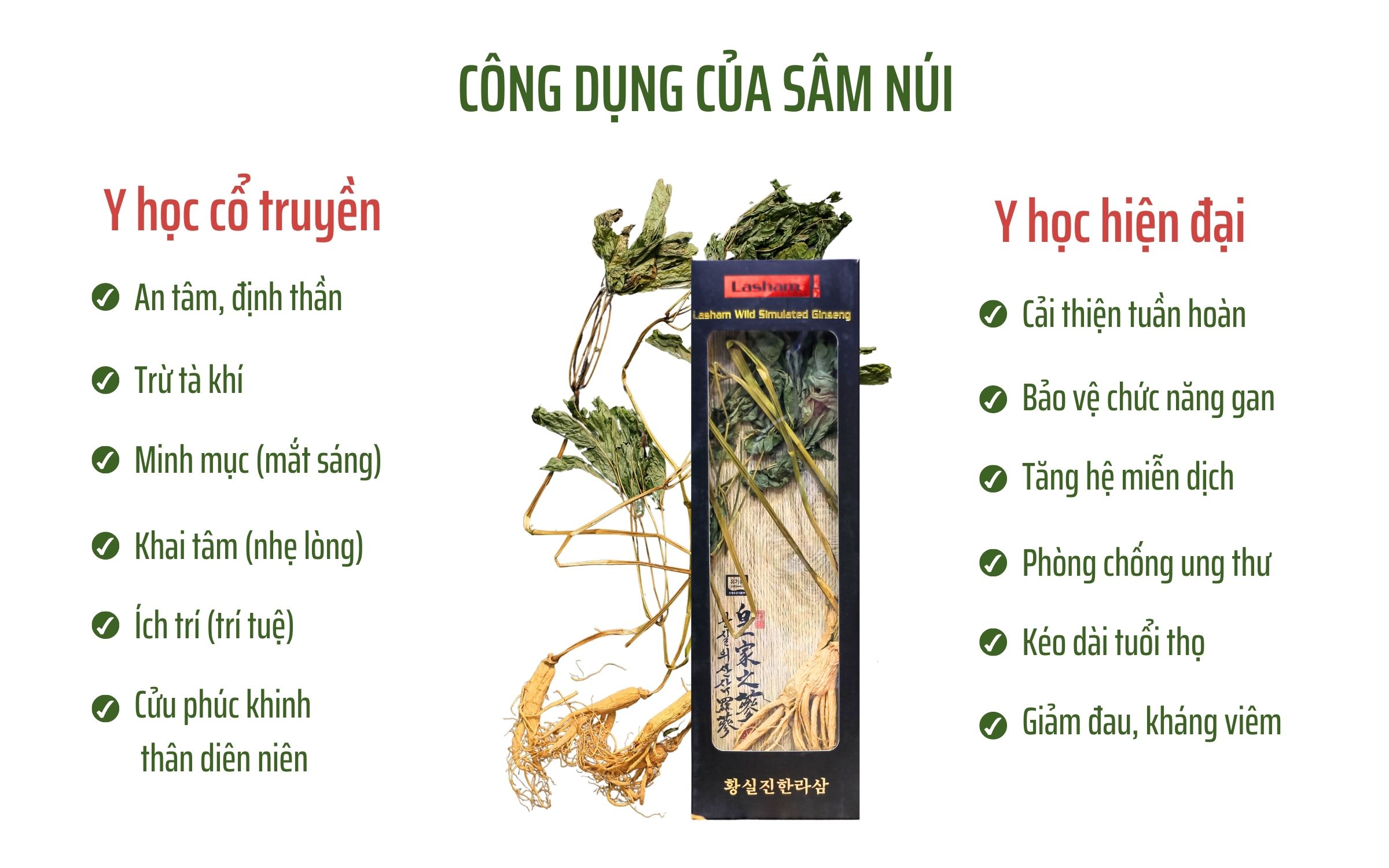 Hộp 5 Cây Sâm Núi Khô Nguyên Bản Lasham Hàn Quốc - 7 Năm Tuổi (lasham Dried Wild Simulated Ginseng -로얄 산삼 라삼)