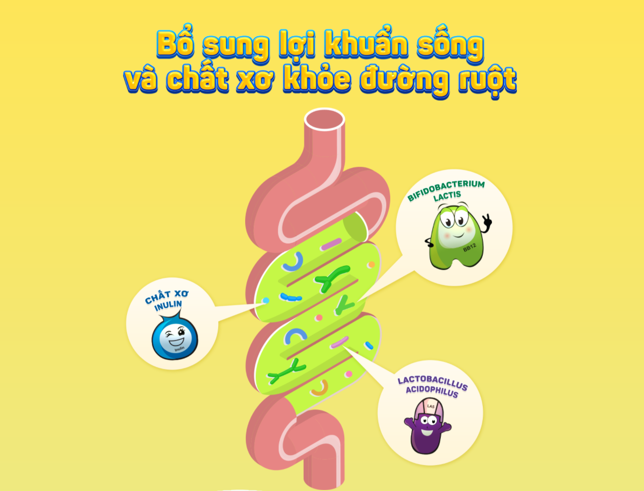 Gói bột men vi sinh lợi khuẩn sống & chất xơ, khỏe đường ruột, giảm táo bón, khó tiêu, đầy hơi AB JUNIOR PRE&PRO 10 gói