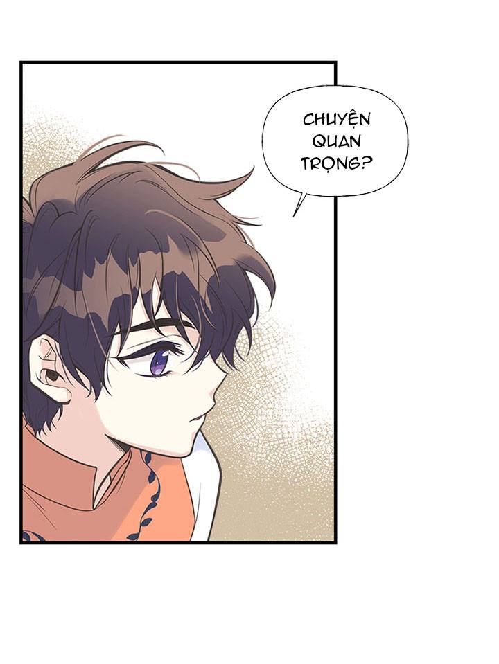 chị tôi đã nhặt về một nam chính quyến rũ chapter 12 58