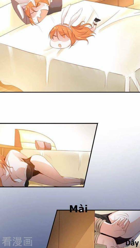 người vợ bí ẩn của tổng tài chapter 6 13