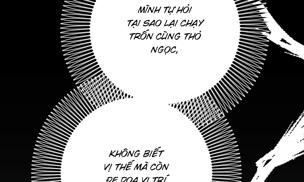 những chú thỏ của hapypy chapter 56 260