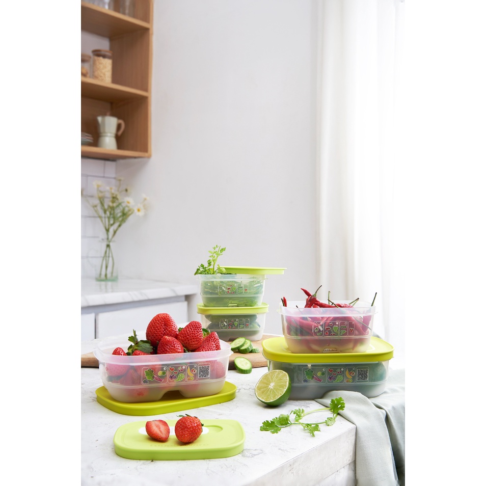Bộ Hộp Tupperware Trữ Mát Có Nút Hô Hấp Ventsmart Five Star (05 Hộp) - Nữ Hoàng Ngăn Mát
