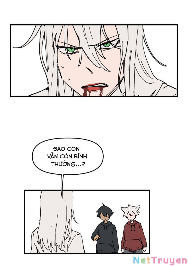 lumine - cội nguồn ánh sáng chapter 164 12