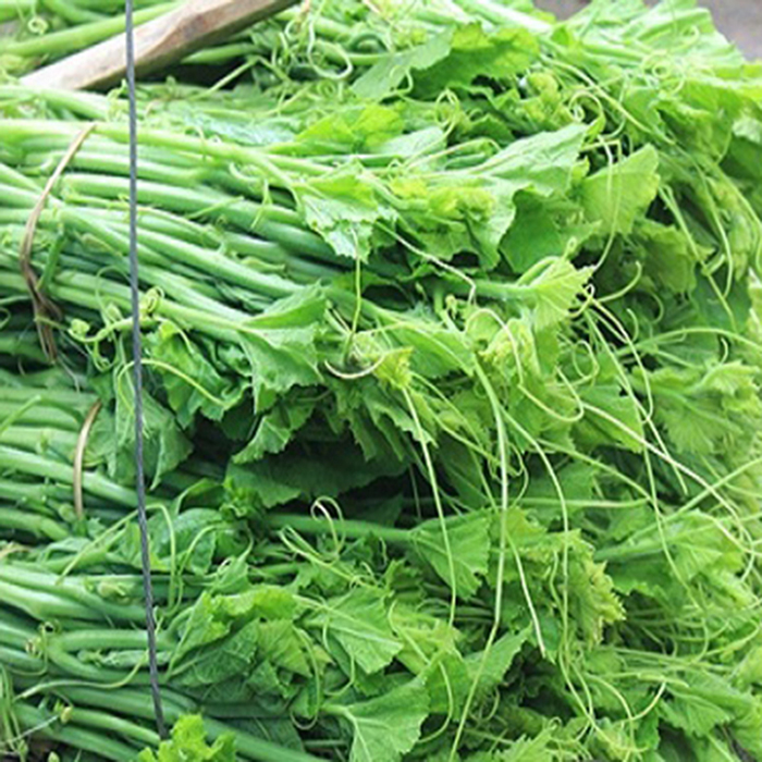 10gram Hạt Giống Bí Siêu Ngọn