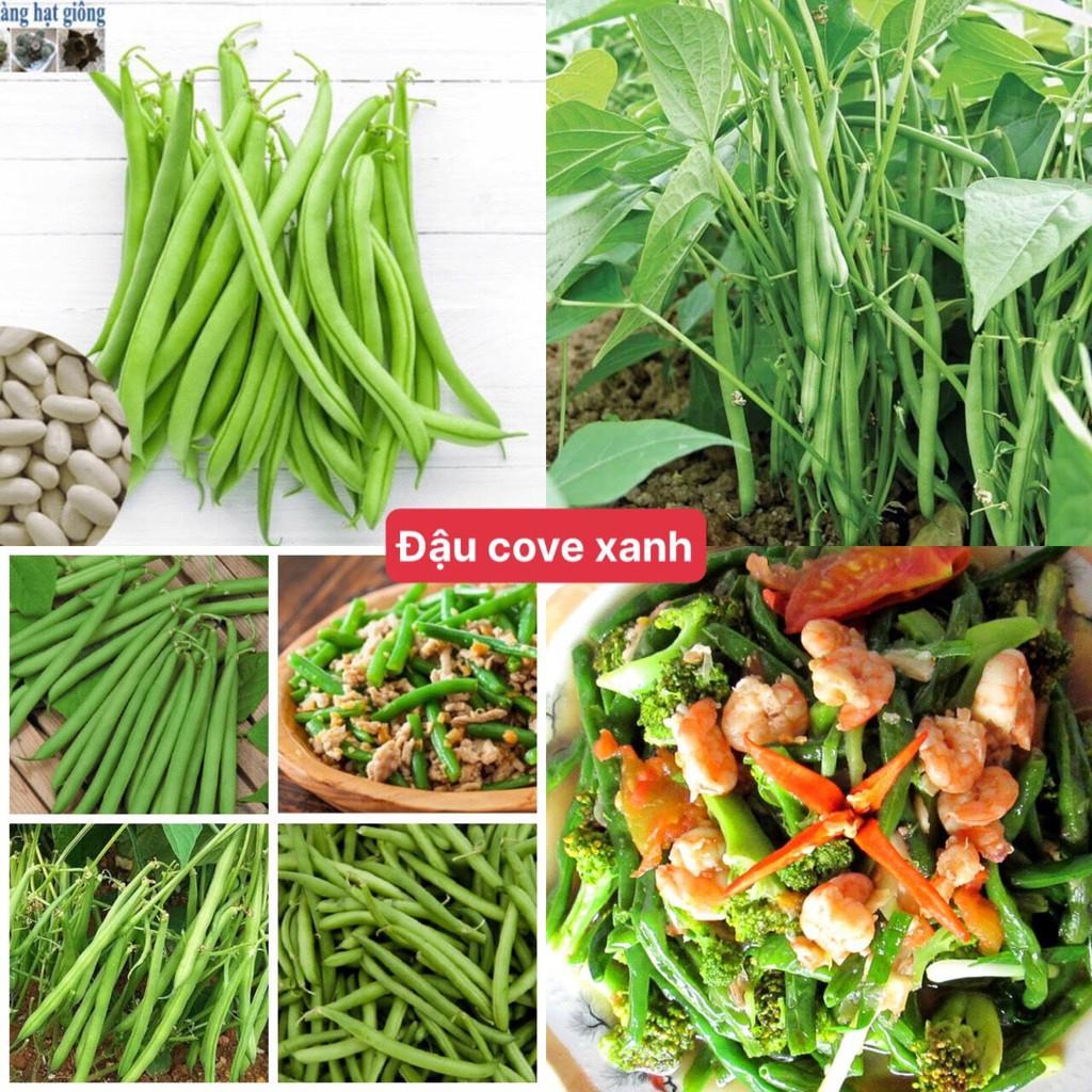 Hạt Giống Đậu Cove F1 (Xanh + Vàng) Loại Siêu Dễ Trồng, Dễ Thu Hoạch Tặng kèm Hướng Dẫn Trồng