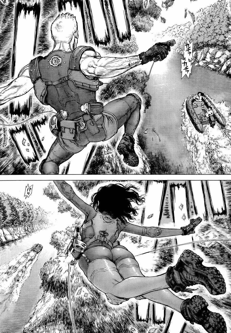 wallman chapter 8 19