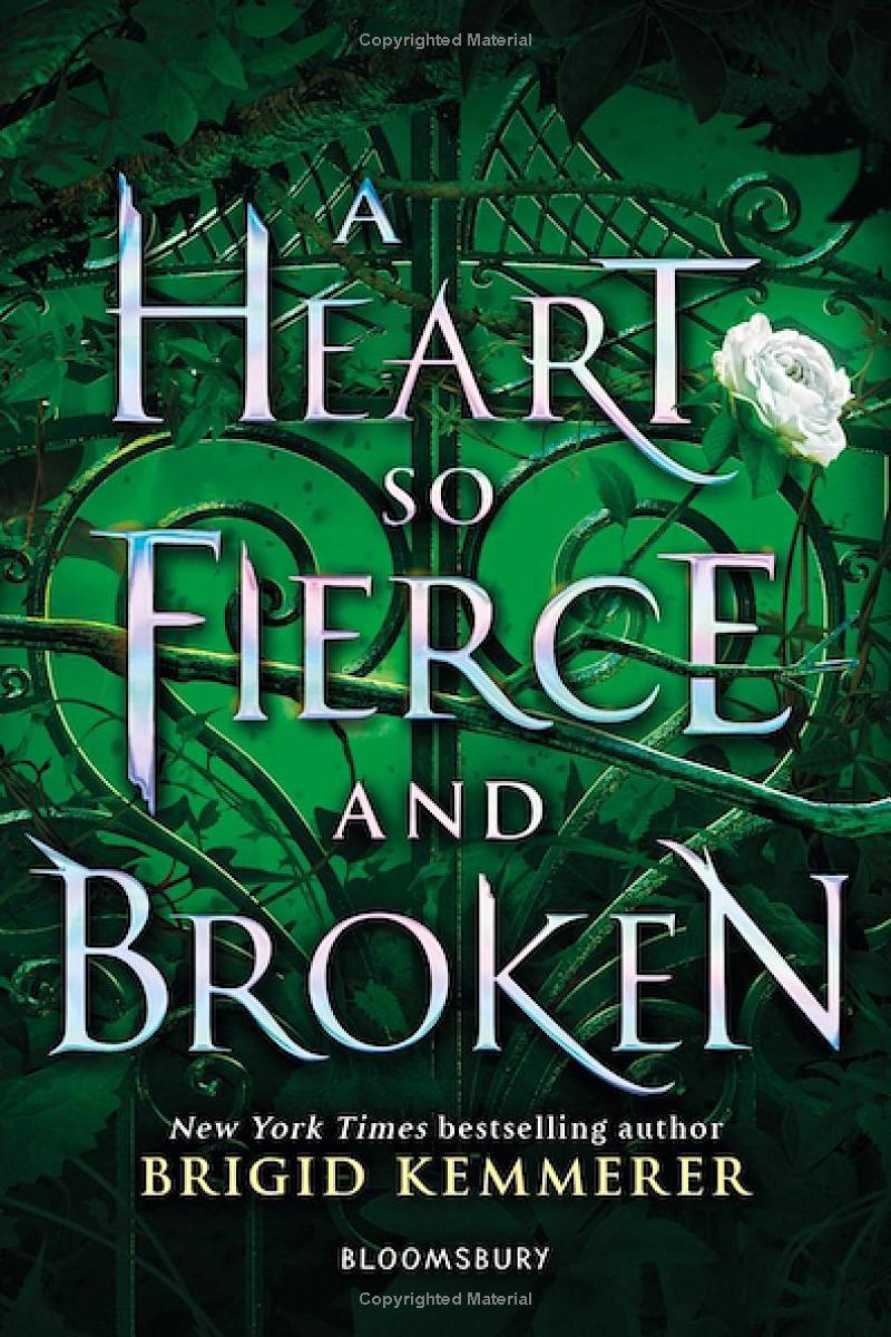 Sách ngoại văn: A Heart So Fierce And Broken