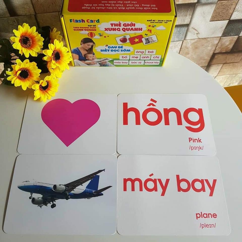 Thẻ Học Thông Minh Cho Bé, Bộ 100 Thẻ Flashcard Về Thế Giới Xung Quanh Với 14 Chủ Đề