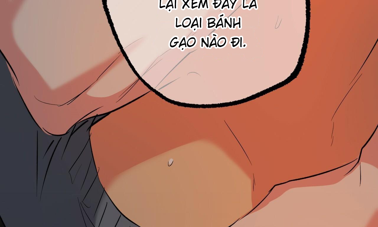 những chú thỏ của hapypy chapter 53 276