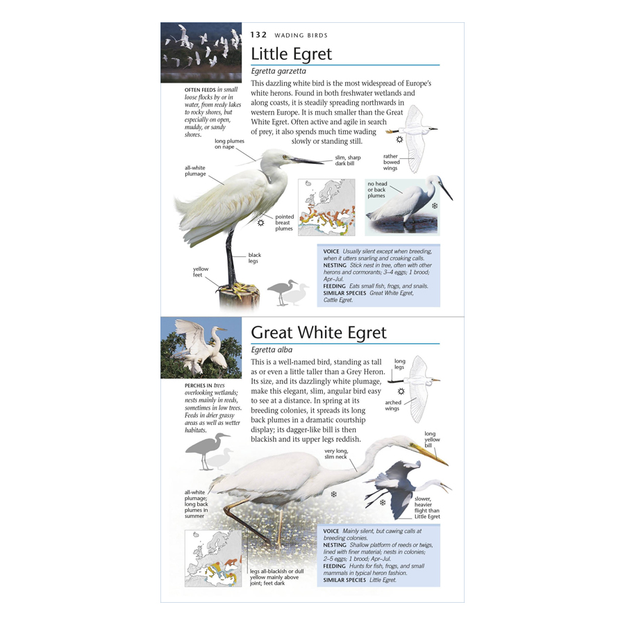 RSPB Pocket Birds Of Britain And Europe