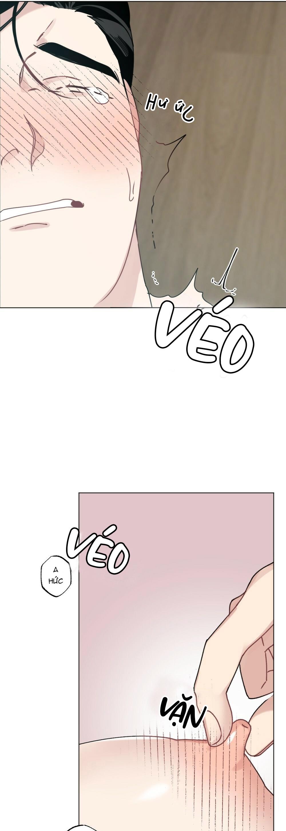 chăm sóc chapter 31 13