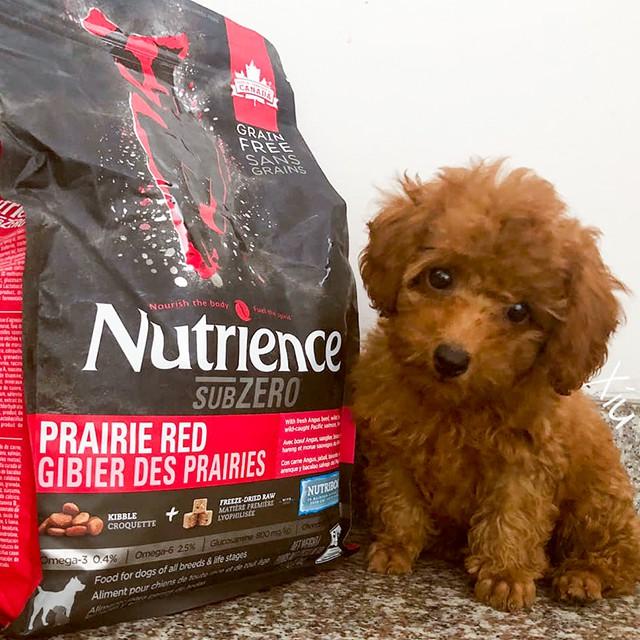 Thức Ăn Hạt Cho Chó Poodle Nutrience Subzero Da Lông Bóng Mượt Bao 5kg - 6 Loại Thịt Cá, Rau Củ, Trái Cây