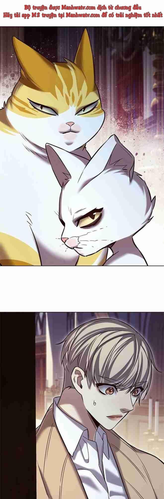 biến thân thành mèo chapter 256 31
