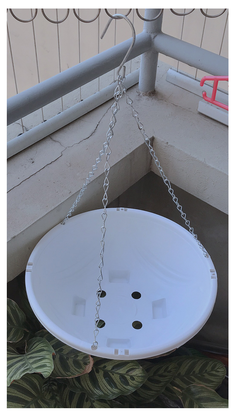 10 Chậu Nhựa Tròn Trồng Hoa Màu Trắng KT: 33x13 cm Có Móc Treo - Chậu chảo treo trồng hoa có móc xích kèm theo!