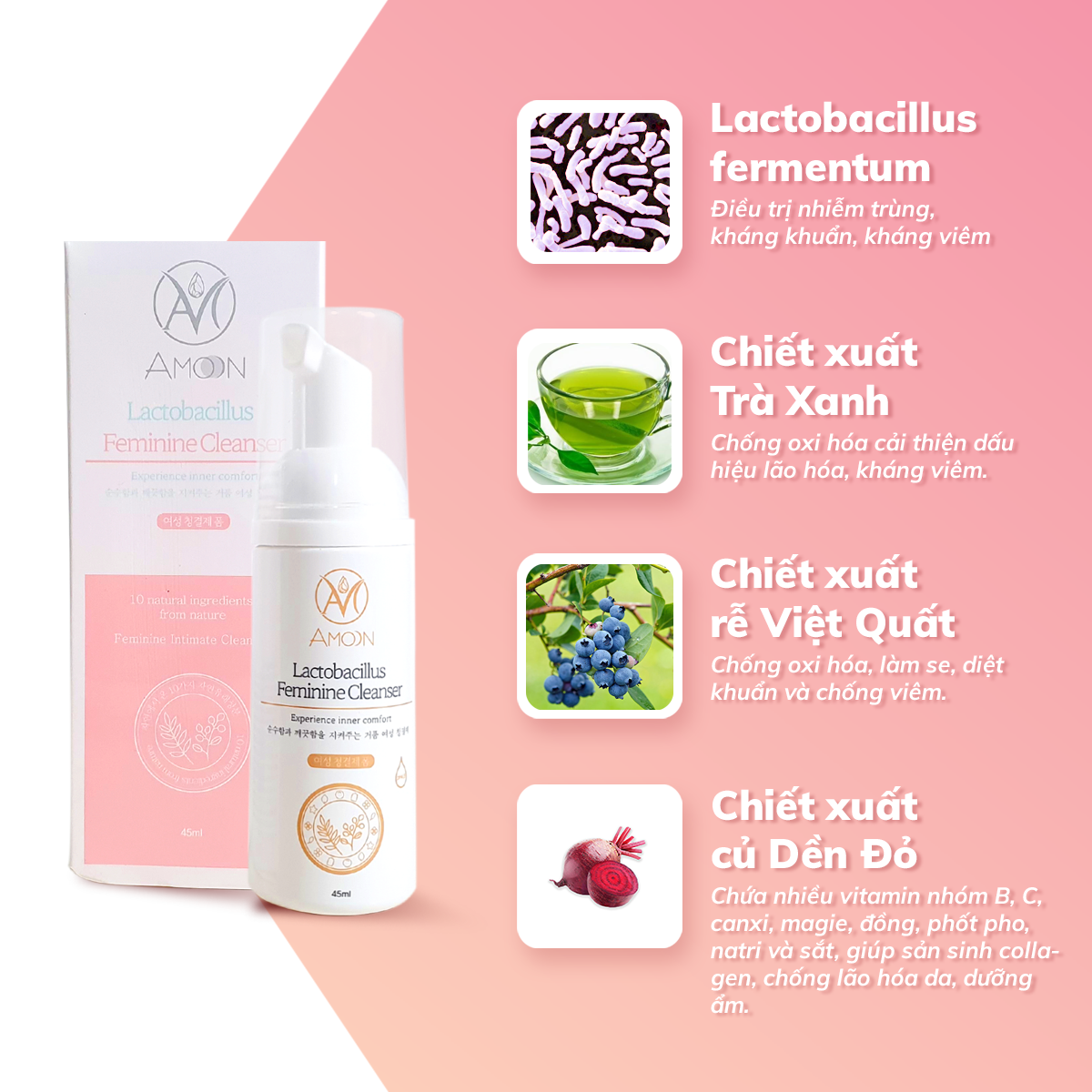 Dung dịch cân bằng lợi khuẩn (vệ sinh phụ khoa) Amoon Lactobacillus Feminine Cleanser