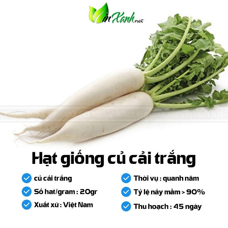 Hạt giống củ cải trắng- NGUYÊN GÓI hàng công ty tuyển chọn kháng bệnh sống khỏe