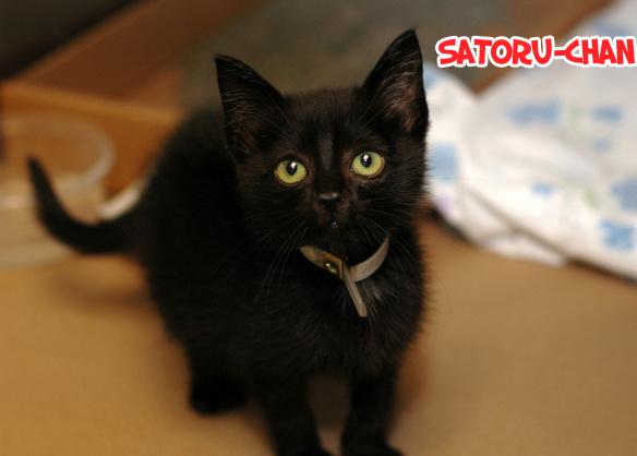 chuyện tình của toono và tamiya chapter 10.1 14