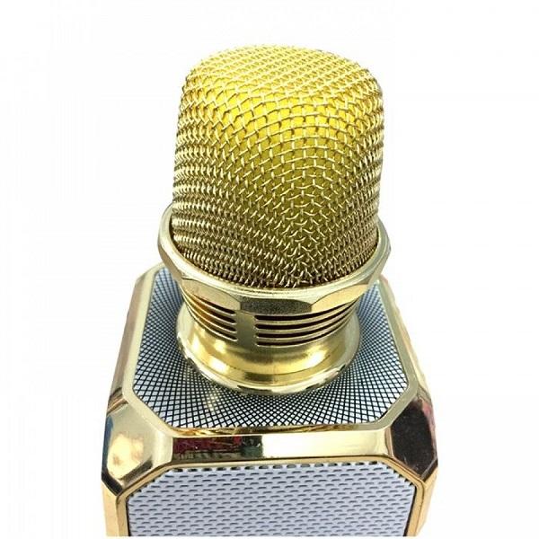 Micro kèm loa Bluetooth Karaoke SD-10, Âm thanh thuẩn , nhiều chế độ điều chỉnh