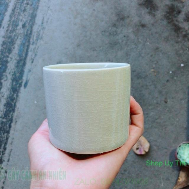 Chậu Trồng Cây
