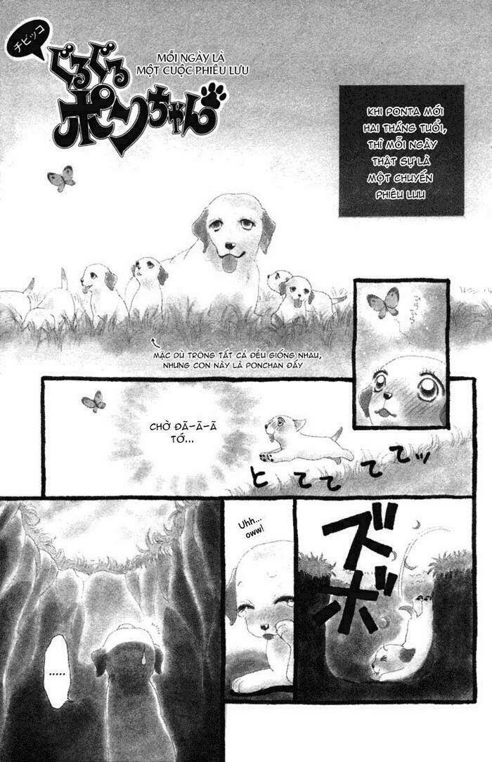 guru guru ponchan chapter 10 5