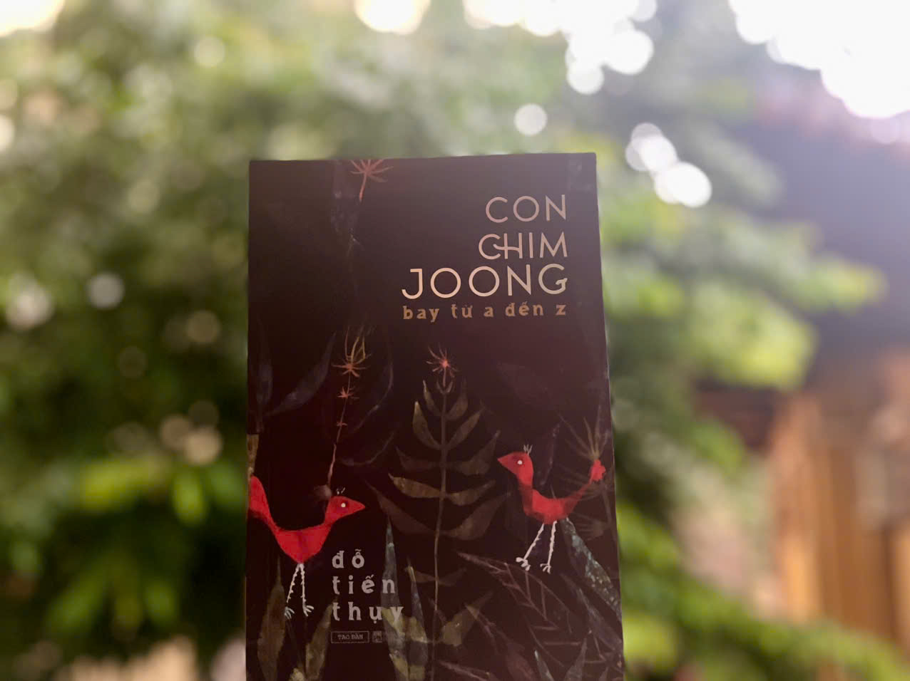 Con chim joong bay từ A đến Z