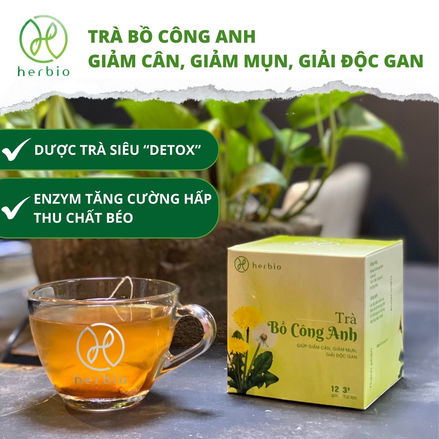 Trà Thảo Mộc Giảm Cân Bồ Công Anh Herbio - Giúp giảm mụn, giải độc gan, detox thanh lọc cơ thể, giảm cân tự nhiên (12 túi lọc x 3gram)