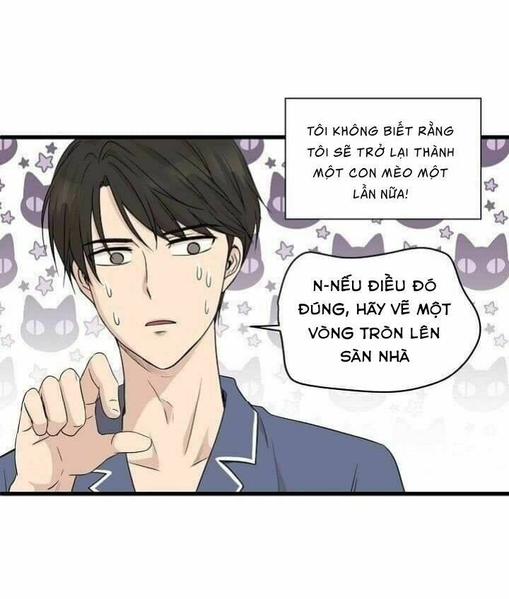 một cuộc sống kỳ lạ chapter 2 42