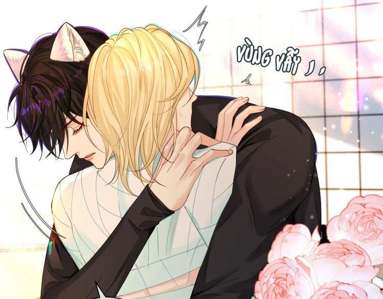 nhân ngư rơi xuống chapter 38 49