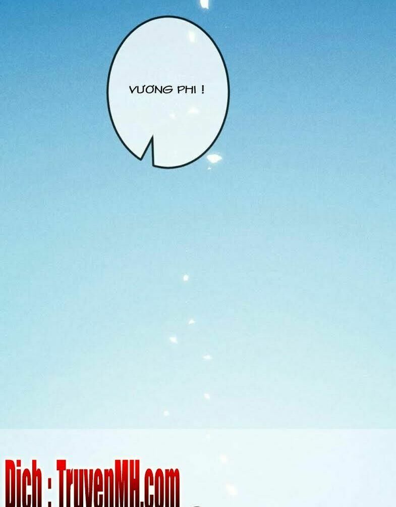 101 mỹ nam của vương phi béo phì chapter 1 14