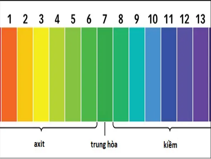 Dung Dịch Đo PH Hồ Cá - Bộ Test pH Nước Bể Cá Có Ống Nghiệm