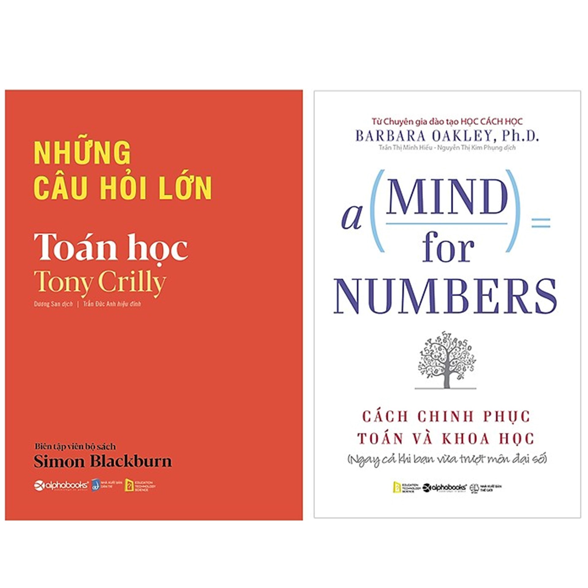 Combo Sách Hay Về Toán Học : Những Câu Hỏi Lớn - Toán Học + A Mind For Numbers - Cách Chinh Phục Toán Và Khoa Học