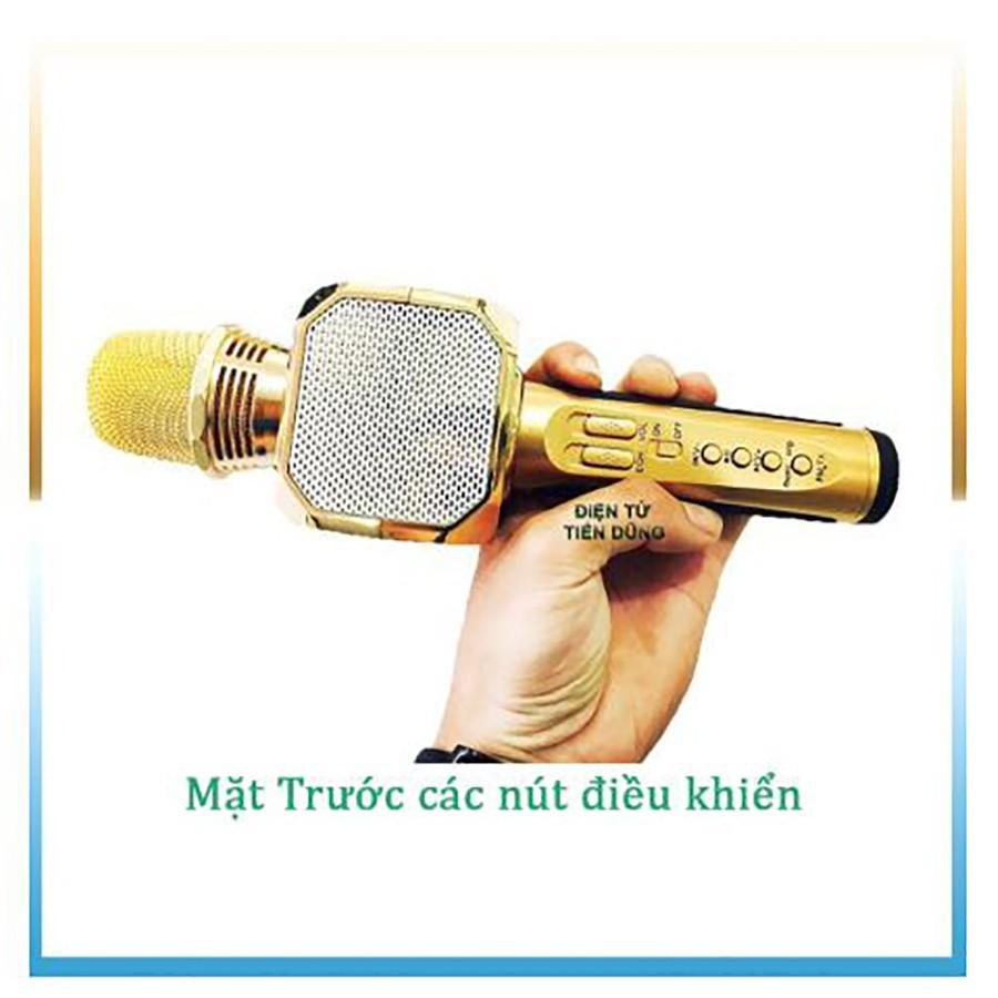 Mic Karaoke SD10 Kèm Loa Kết Nối Bluetooth